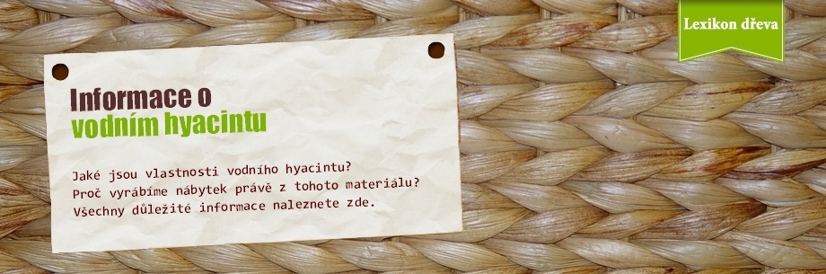 Vodní hyacint